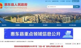 惠州最新消息爆料案件,惊曝重大案件细节披露